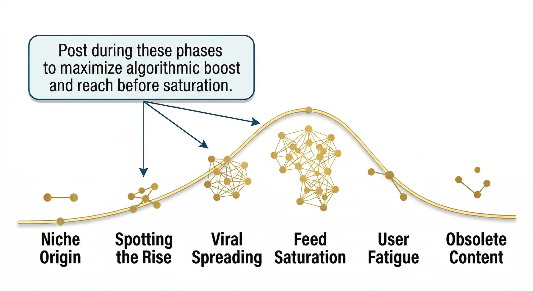 Trend lifecycle diagram showing the rise from niche origin to viral spreading, then decline into user fatigue and obsolete content.